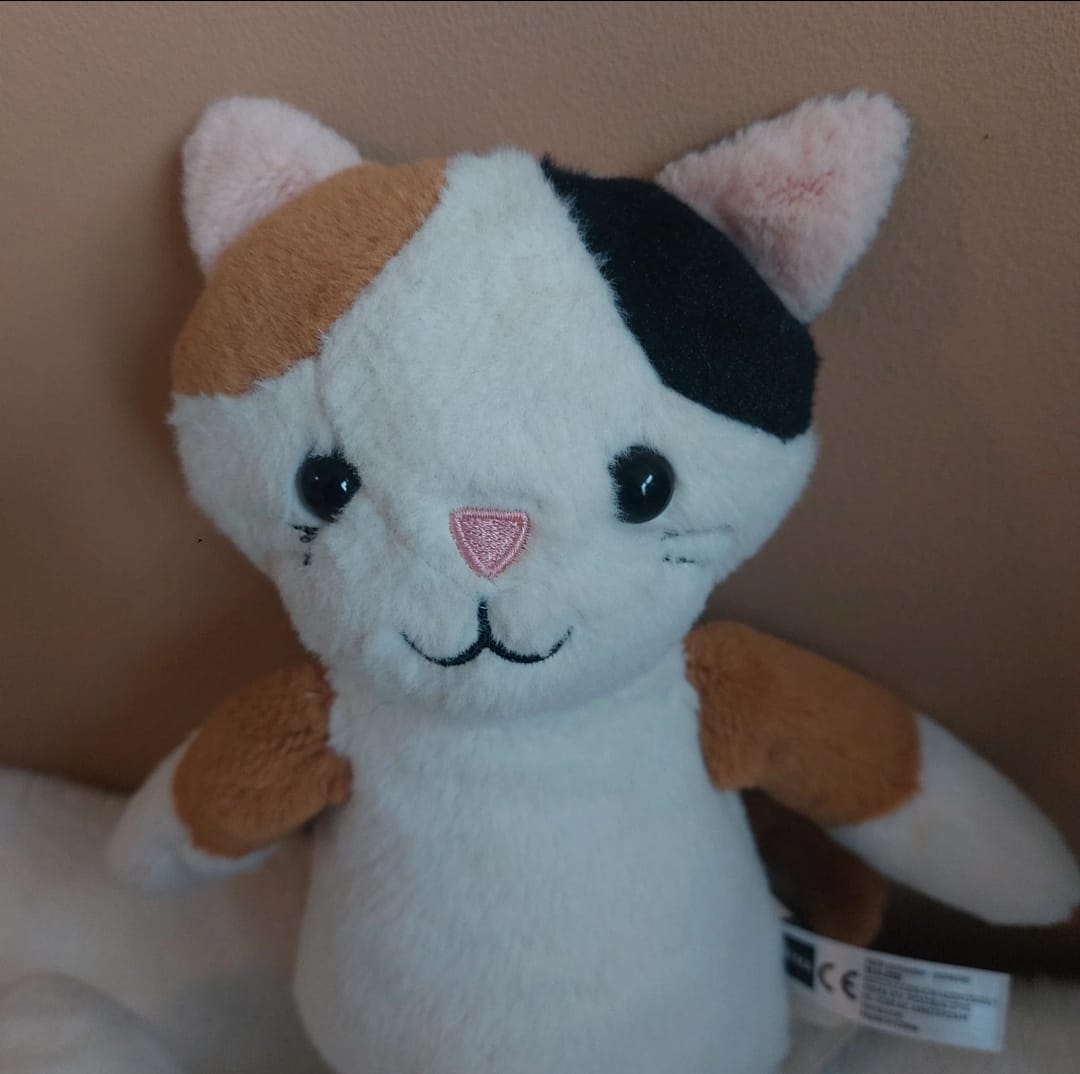 HEMA Cuddly Toy Cat - As good as new
